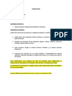 ACTIVIDAD 9 - Sistema Nervioso Organización Anatómica y Funcional