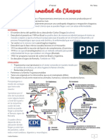 Enfermedad de Chagas