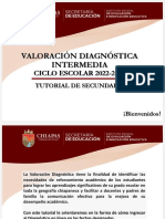 Tutorial Linea Secundaria Valoracion Diagnóstica Intermedia PDF