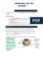 Metabolismo de Grasas y Proteinas