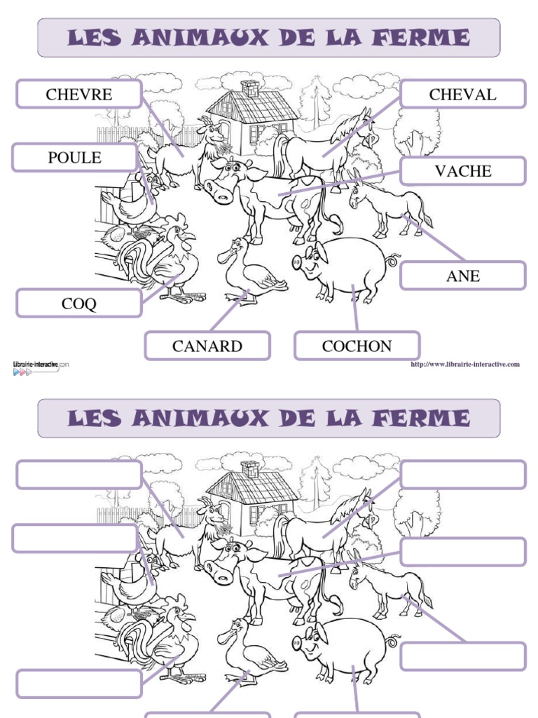 Les Animaux de La Ferme | PDF