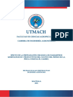 Ttuaca 2021 Ia De00046 PDF