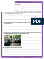 Diagnostico Octavo PDF
