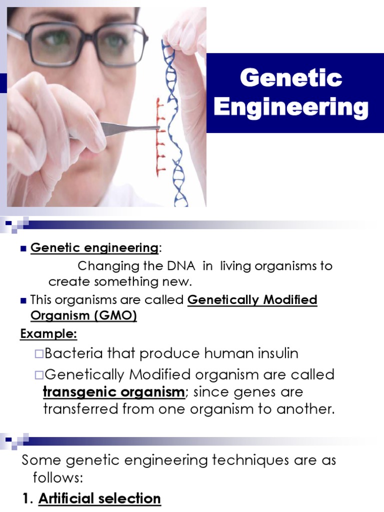 Understanding Genetic Engineering Techniques | PDF | Ploidy | Molecular ...