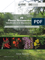 Plantas Mesoamericanas Subutilizadas en La Alimentacion PDF