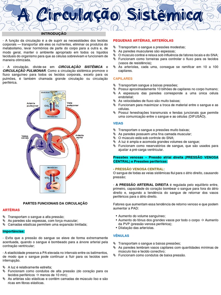 A Circulação Sistêmica Pdf Artéria Sistema Circulatório