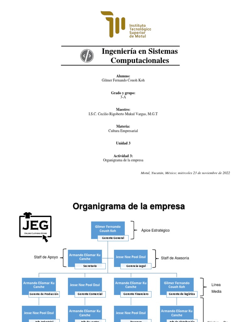 Organigrama de YPF y su Estructura | PDF