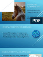 Encefalitis Equina Del Este