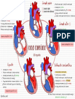 Ciclo Cardíaco PDF