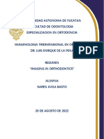 Resumen. Karen Avila Basto PDF