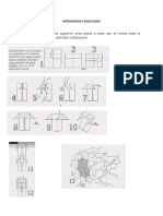 Metodologia y Resultados