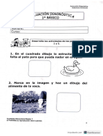 Prueba Diagnostico