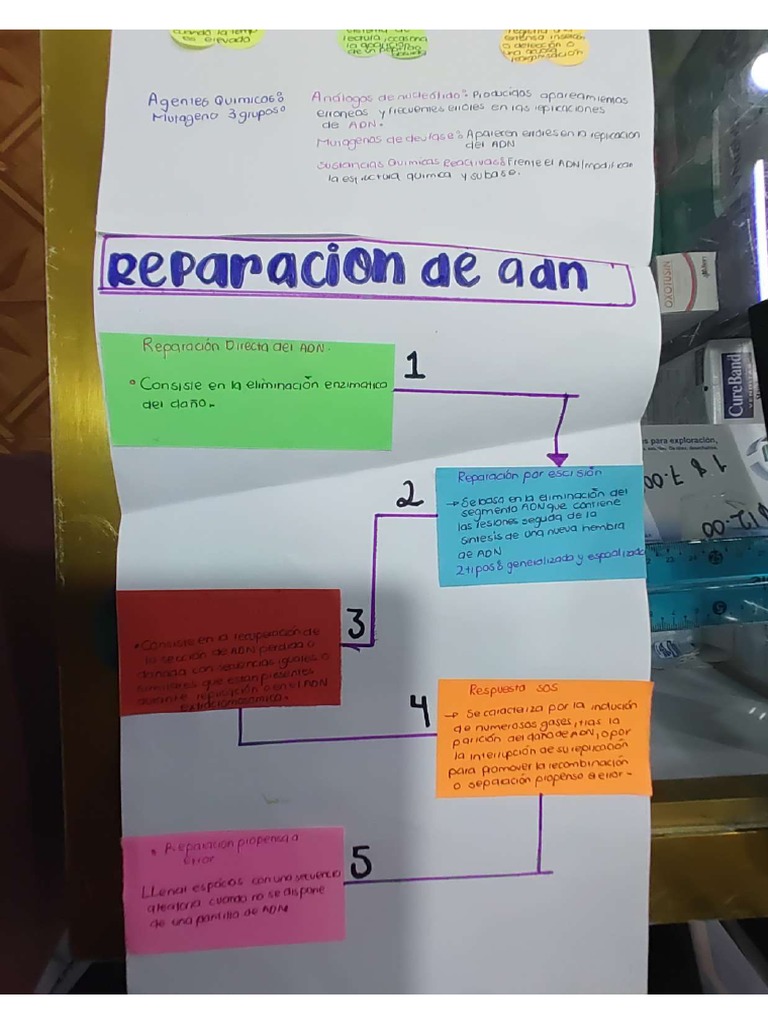 Mapa Mental PDF | PDF