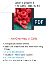 Chapter 3 Section 1 Discovering Cells Pgs. 80-85