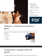 Manejo y Exterior de Perros y Gatos