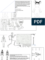 Copias Imprimir Hueso