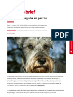 Pancreatitis aguda en perros