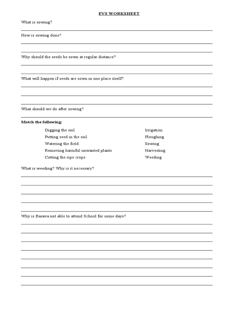 Evs Worksheet Class Iv Nov 2014 Pdf Sowing Vegetables