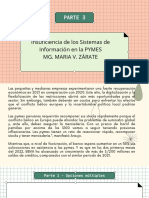 Parte 3: Insuficiencia de Los Sistemas de Información en La PYMES Mg. Maria V. Zárate