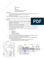 FISIOLOGÍA Unidad 4