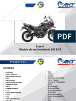 Sistema de Inyeccion TT 250 e Iv PDF