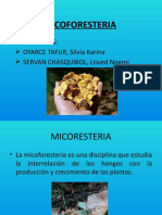 Micoforesteria