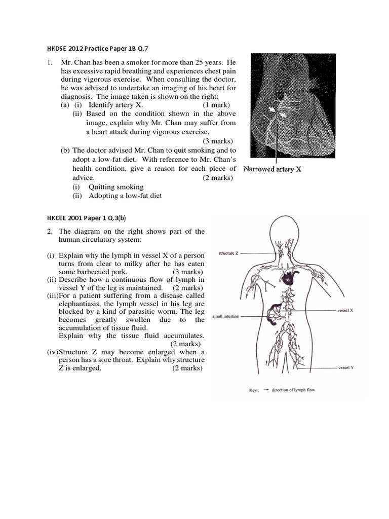 The Container Port Performance Index 2020 to 2024: Trends and lessons learned intelligence overview