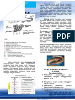 Leaflet Lele Bioflog PDF