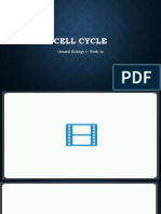 Cell Cycle