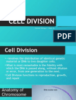  Cell Division
