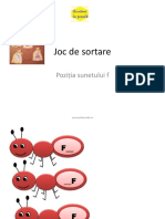 Joc Sunet F PDF