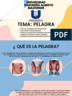 Pelagra (Original) PDF