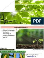 Biology Form 5 Chapter 2 Subtopic 2.4 Main Organ For Photosynthesis