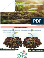 Biology Form 5 Chapter 3 Subtopic 3.2 Organ For Water and Mineral Salts Uptake