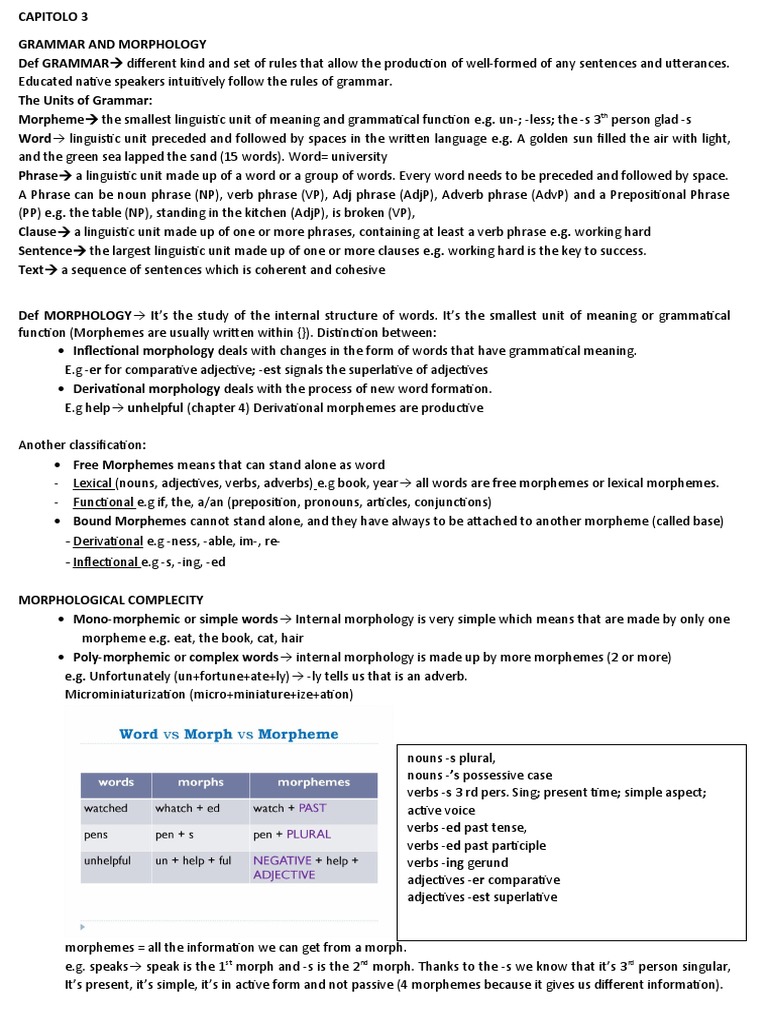 INGLESE Cap III PDF Verb Part Of Speech