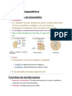 Sistema Esquelético PDF