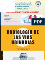 Radiología Del Tracto Urinario - Grupo 2 - Subgrupo 6