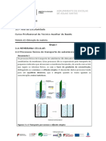 Os processos físicos de transporte de substâncias na membrana celular