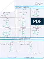 20 Amino Acids Herce Bsmt2b