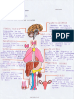 Activity On Endocrinology HERCE BSMT1B