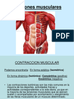 Contraccion Muscular