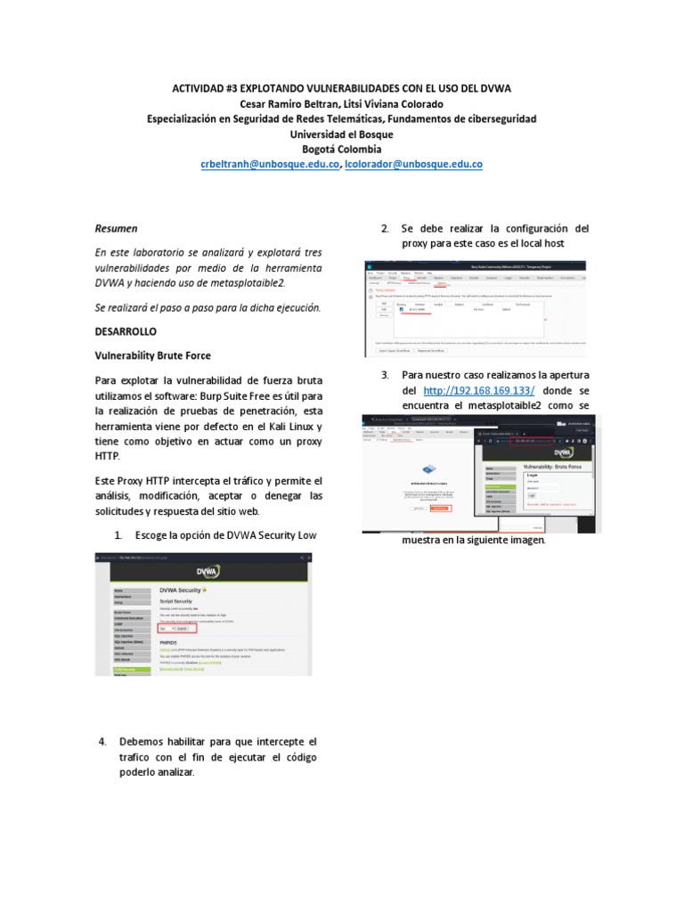 Explotación de Vulnerabilidades en DVWA | PDF | Contraseña | Ingeniería ...