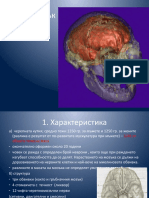Главен мозък