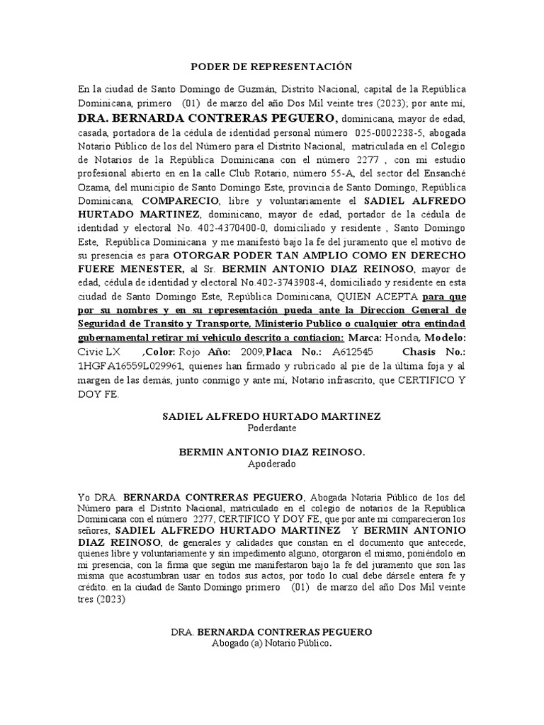 Poder de representacion bermin doc pdf rep blica dominicana