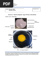 BIOL108L-YA Ex6 PDF