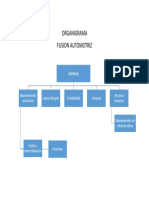 Organigrama Fusion Automotriz