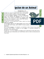Ficha Paradescribir Un Animal para Tercero de Primaria
