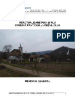 Memoriu Panticeu.pdf