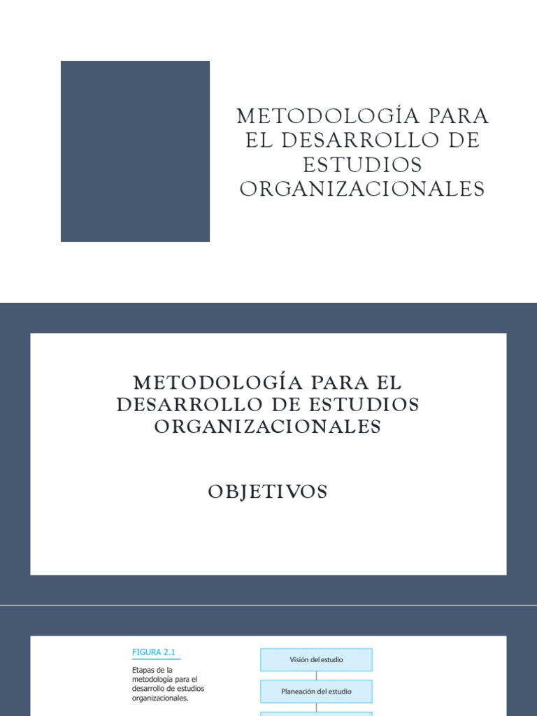 Metodología para El Desarrollo de Estudios Organizacionales | PDF