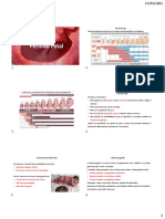 Desenvolvimento fetal da 9a semana à nascimento